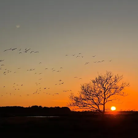 Sonnenblumenhaus Prázdninový dům *