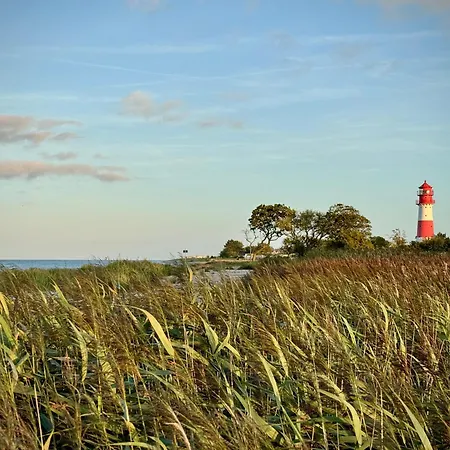 Sonnenblumenhaus * Nieby (Nieby, Schleswig-Flensburg)