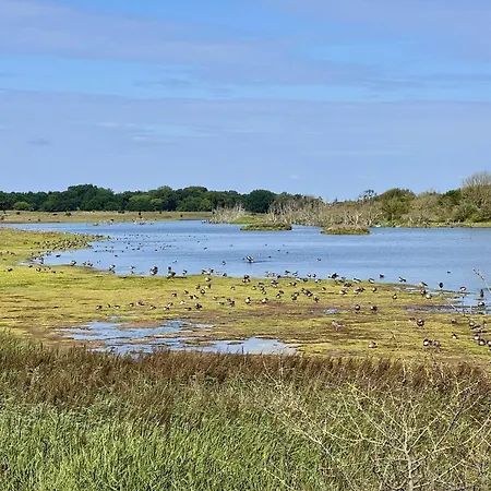 Σπίτι διακοπών Sonnenblumenhaus